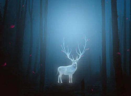 آموزش طراحی گوزن درخشان در فتوشاپ